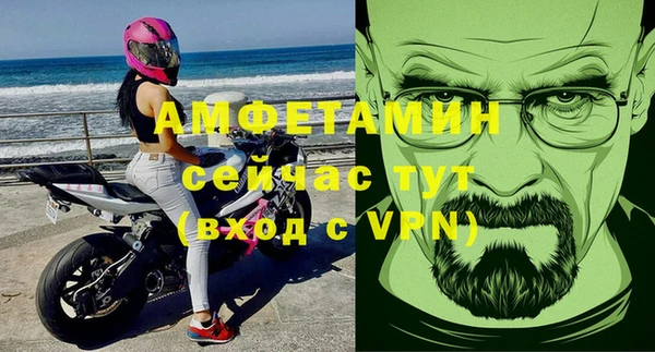 стафф Алексин