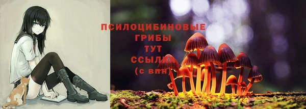 героин Алзамай