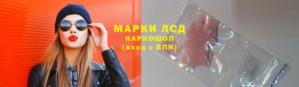 стафф Алексин