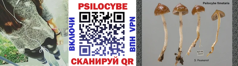 где купить Джанкой Галлюциногенные грибы Psilocybine cubensis